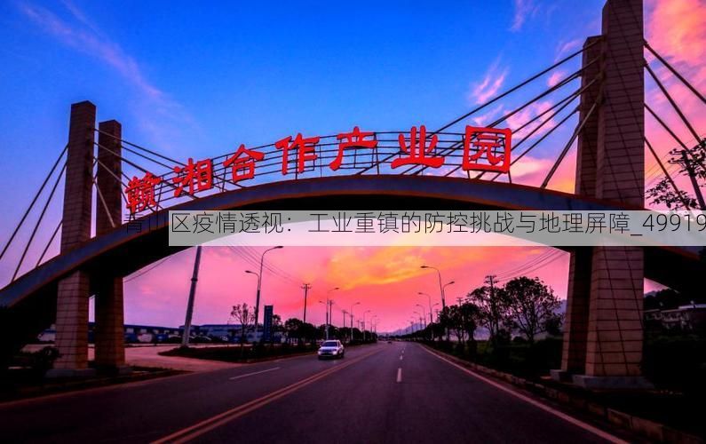 青山区疫情透视：工业重镇的防控挑战与地理屏障_49919