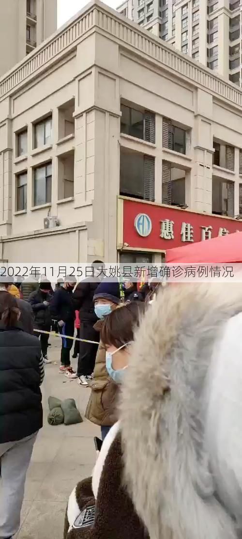 2022年11月25日大姚县新增确诊病例情况