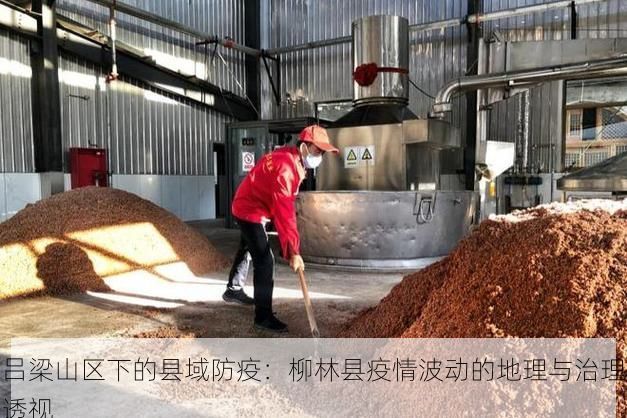 吕梁山区下的县域防疫：柳林县疫情波动的地理与治理透视