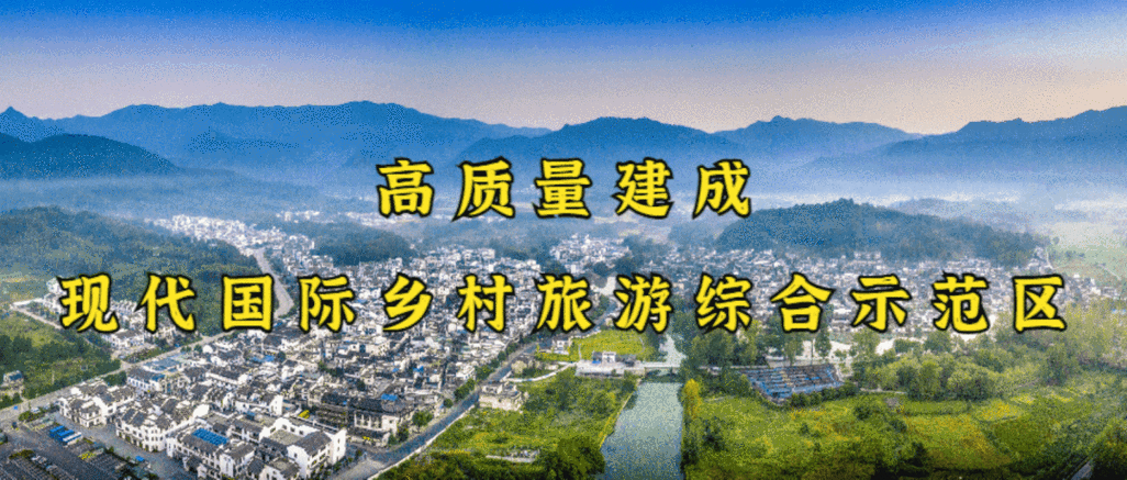 2022年5月15日黟县新增确诊病例情况_42887