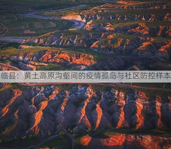 临县:黄土高原沟壑间的疫情孤岛与社区防控样本