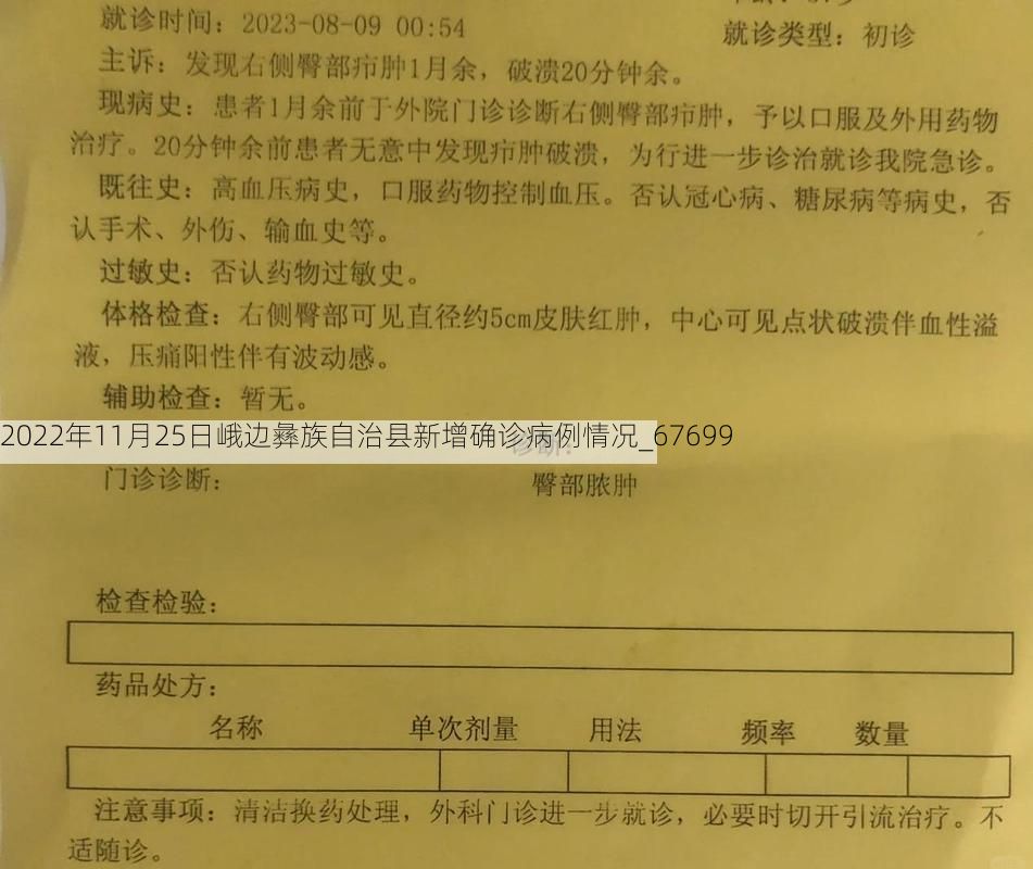 2022年11月25日峨边彝族自治县新增确诊病例情况_67699