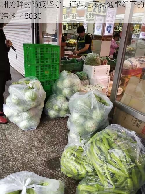 锦州湾畔的防疫坚守:辽西走廊交通枢纽下的疫情综述_48030