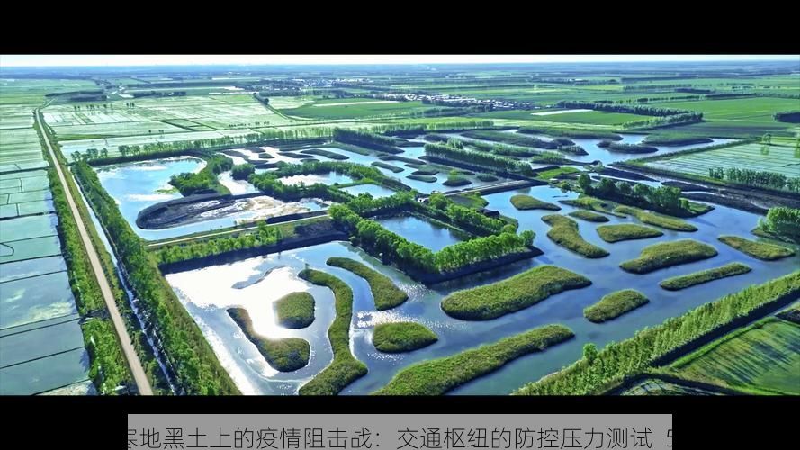 绥化寒地黑土上的疫情阻击战:交通枢纽的防控压力测试_53147