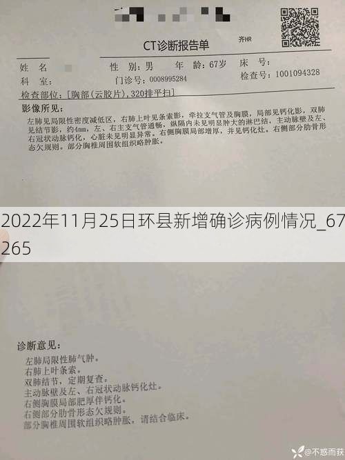 2022年11月25日环县新增确诊病例情况_67265