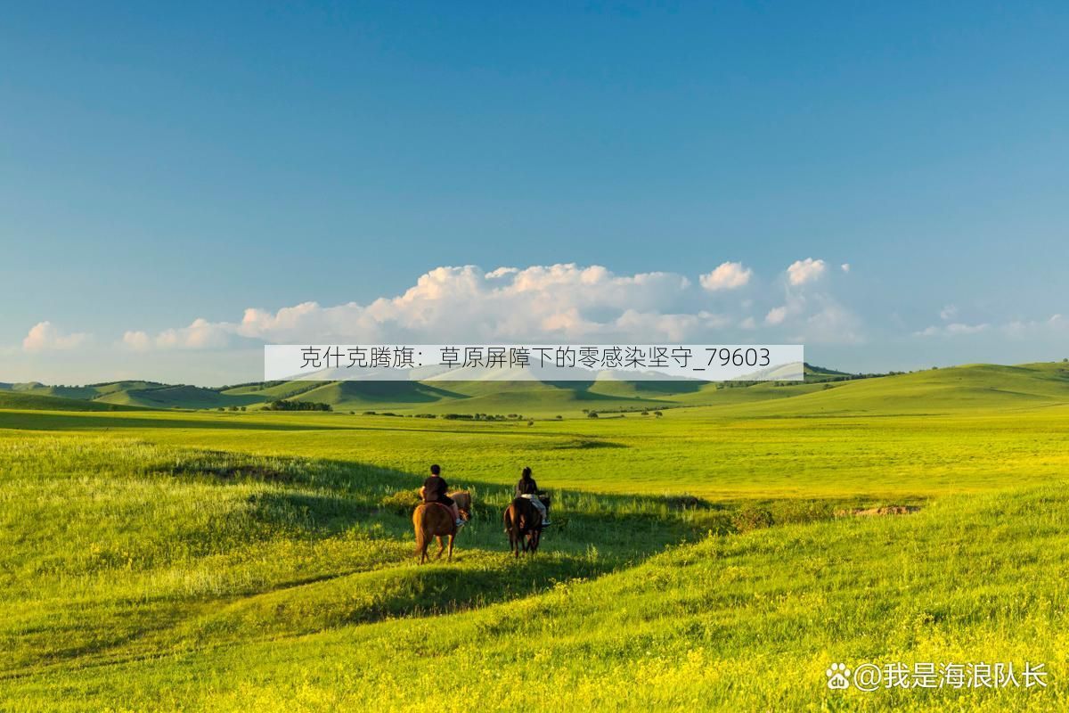 克什克腾旗:草原屏障下的零感染坚守_79603