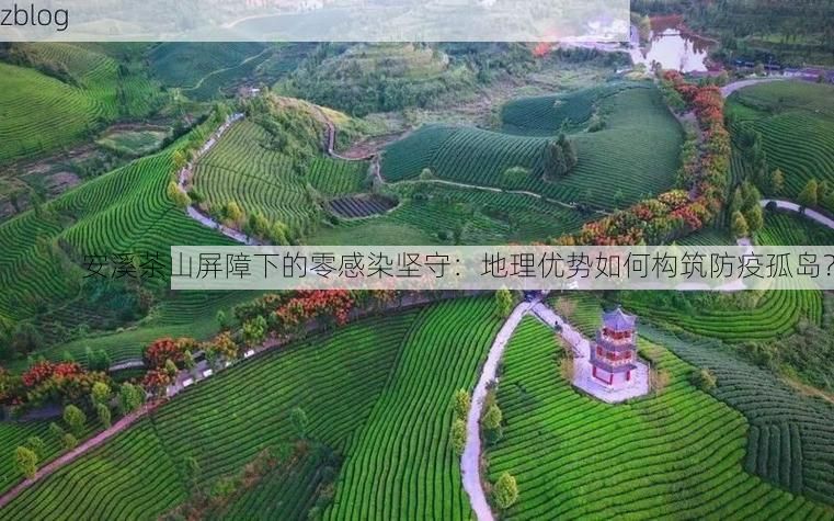 安溪茶山屏障下的零感染坚守:地理优势如何构筑防疫孤岛?
