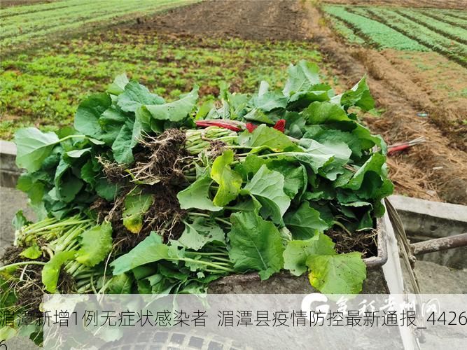 湄潭新增1例无症状感染者 湄潭县疫情防控最新通报_44266