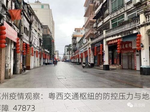 高州疫情观察:粤西交通枢纽的防控压力与地理屏障_47873