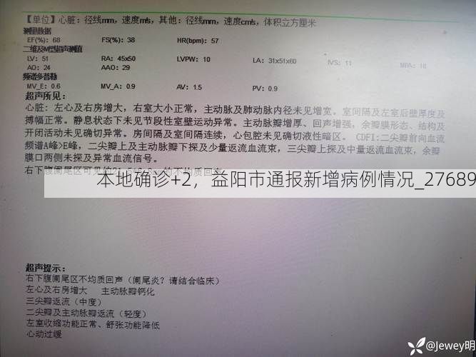本地确诊+2，益阳市通报新增病例情况_27689