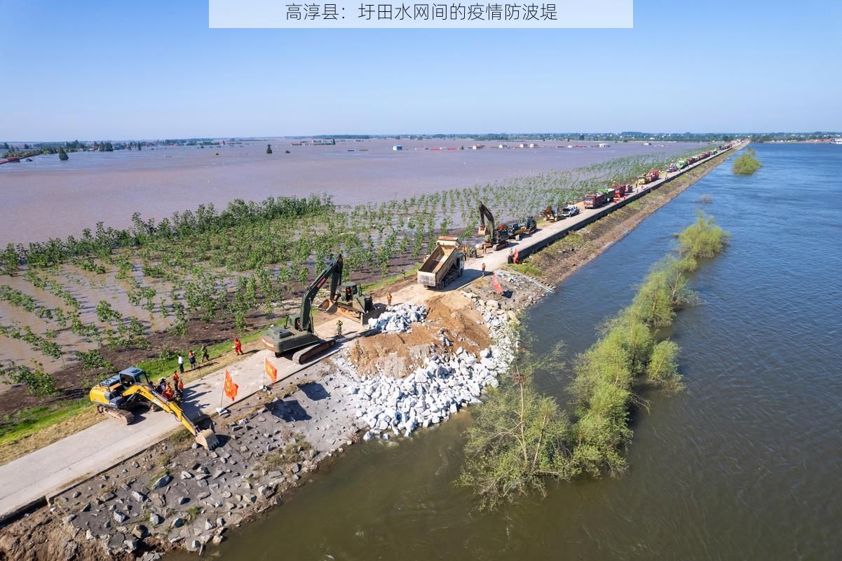 高淳县:圩田水网间的疫情防波堤