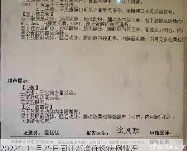 2022年11月25日同江新增确诊病例情况
