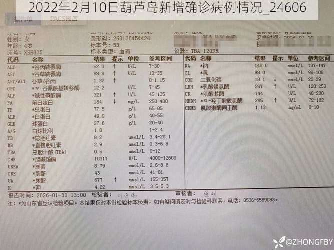 2022年2月10日葫芦岛新增确诊病例情况_24606