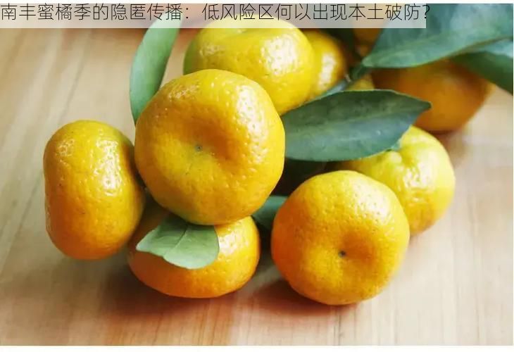 南丰蜜橘季的隐匿传播:低风险区何以出现本土破防?