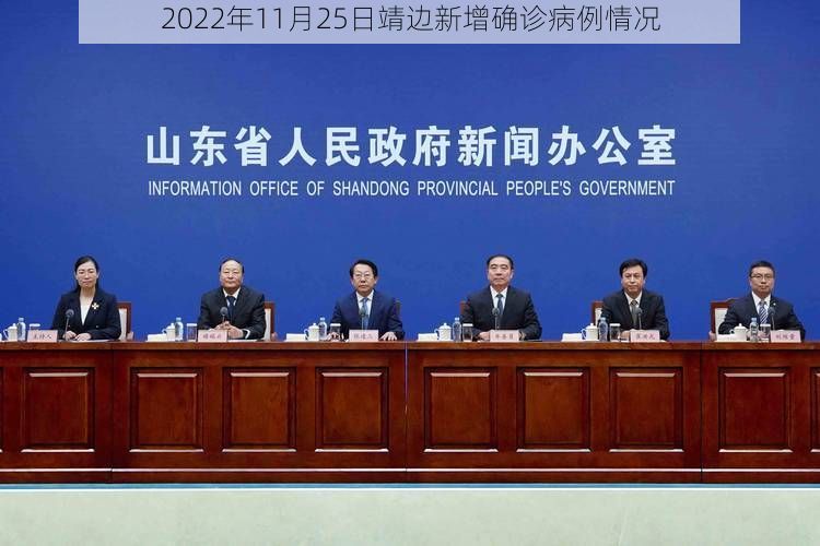 2022年11月25日靖边新增确诊病例情况