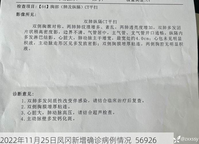 2022年11月25日凤冈新增确诊病例情况_56926