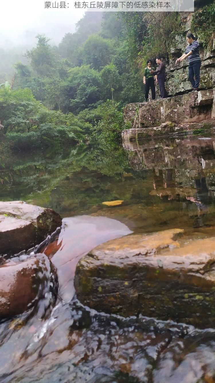 蒙山县：桂东丘陵屏障下的低感染样本
