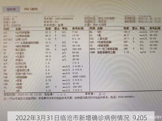 2022年3月31日临沧市新增确诊病例情况_9205