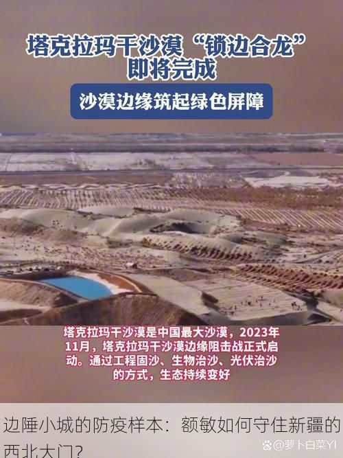 边陲小城的防疫样本：额敏如何守住新疆的西北大门？