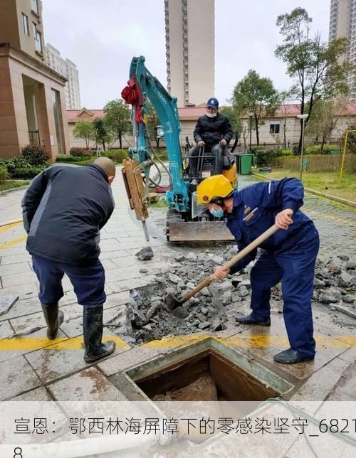 宣恩:鄂西林海屏障下的零感染坚守_68218