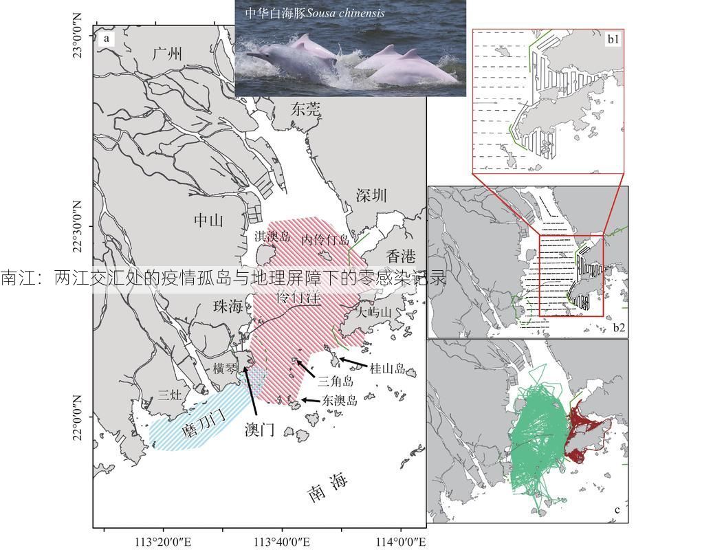 南江:两江交汇处的疫情孤岛与地理屏障下的零感染记录
