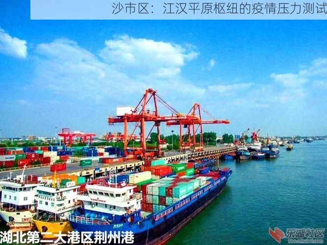 沙市区:江汉平原枢纽的疫情压力测试