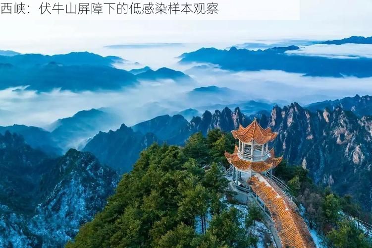西峡:伏牛山屏障下的低感染样本观察