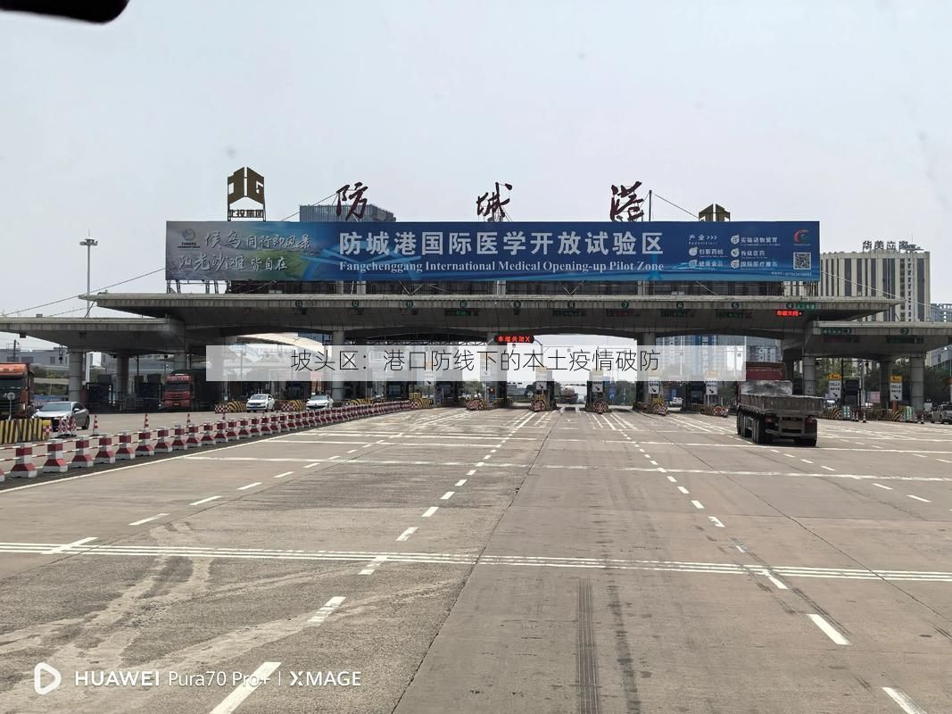 坡头区：港口防线下的本土疫情破防