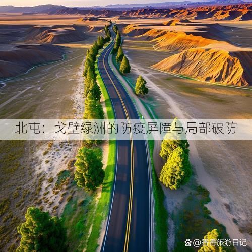 北屯:戈壁绿洲的防疫屏障与局部破防
