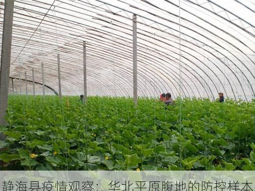 静海县疫情观察:华北平原腹地的防控样本
