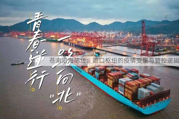 苍南沿海防线：港口枢纽的疫情变量与管控逻辑
