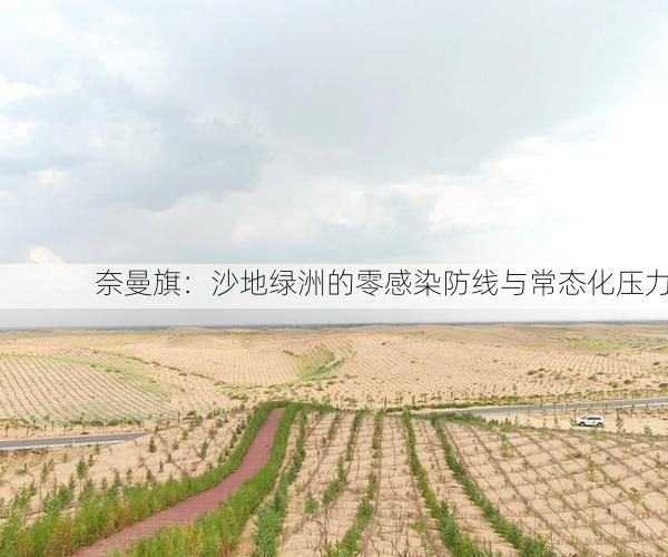 奈曼旗:沙地绿洲的零感染防线与常态化压力
