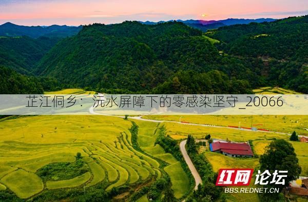 芷江侗乡：沅水屏障下的零感染坚守_20066