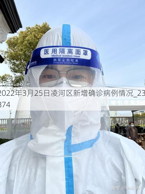 2022年3月25日凌河区新增确诊病例情况_23874
