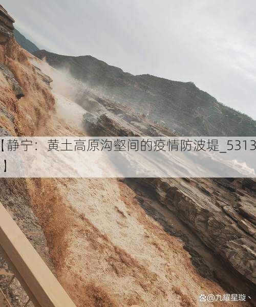 【静宁:黄土高原沟壑间的疫情防波堤_53134】