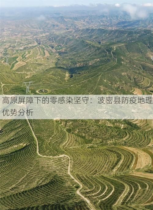 高原屏障下的零感染坚守:波密县防疫地理优势分析