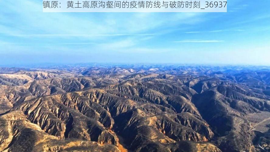 镇原:黄土高原沟壑间的疫情防线与破防时刻_36937