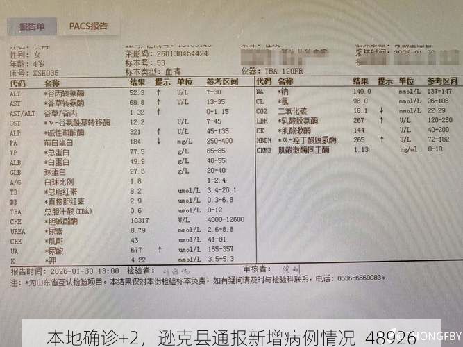 本地确诊+2，逊克县通报新增病例情况_48926