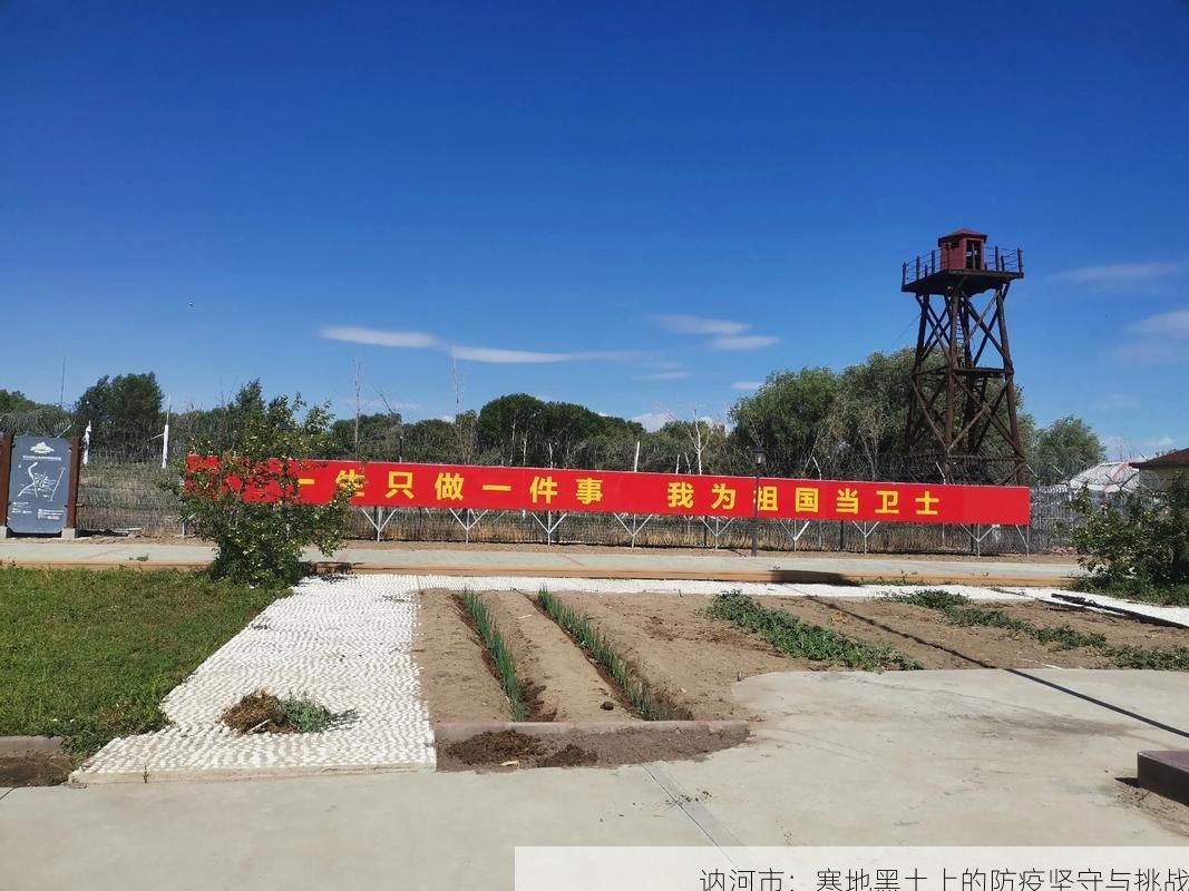 讷河市：寒地黑土上的防疫坚守与挑战