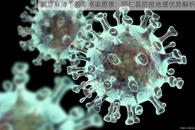 高原屏障下的零感染愿景:同仁县防疫地理优势解析