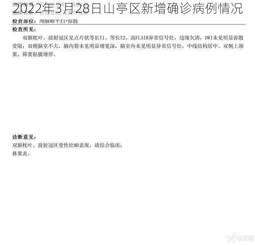 2022年3月28日山亭区新增确诊病例情况