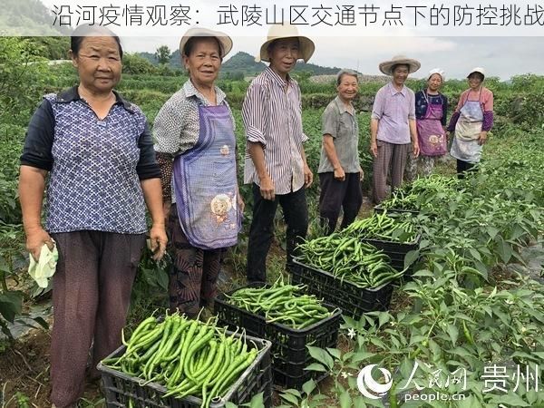 沿河疫情观察：武陵山区交通节点下的防控挑战