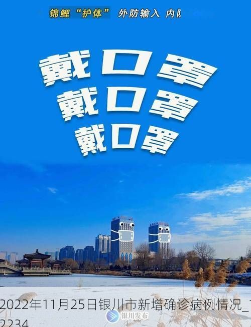 2022年11月25日银川市新增确诊病例情况_12234