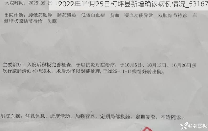 2022年11月25日柯坪县新增确诊病例情况_53167