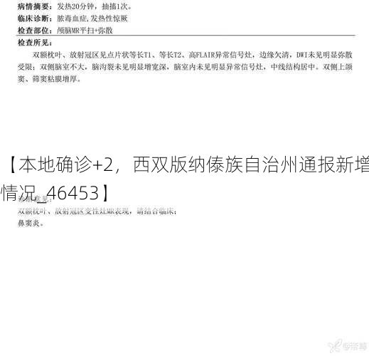 【本地确诊+2，西双版纳傣族自治州通报新增病例情况_46453】