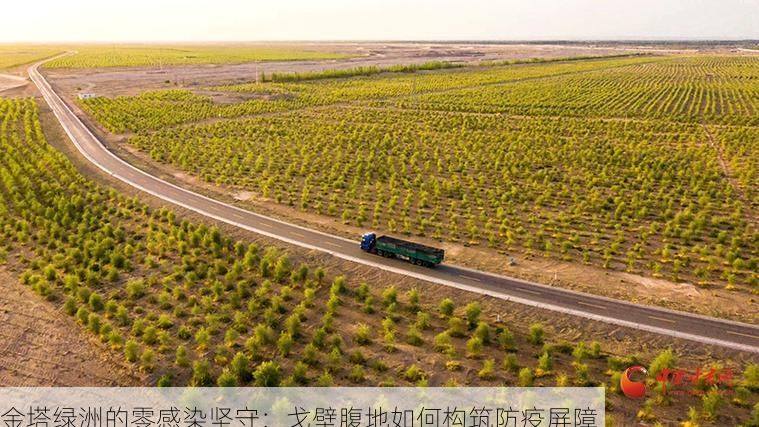 金塔绿洲的零感染坚守:戈壁腹地如何构筑防疫屏障