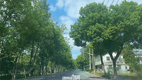 【抚顺市辖区:工业重镇防疫中的地理屏障与社区破防】