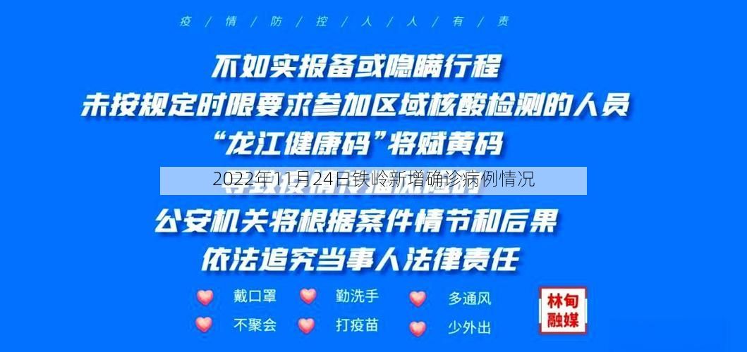 2022年11月24日铁岭新增确诊病例情况