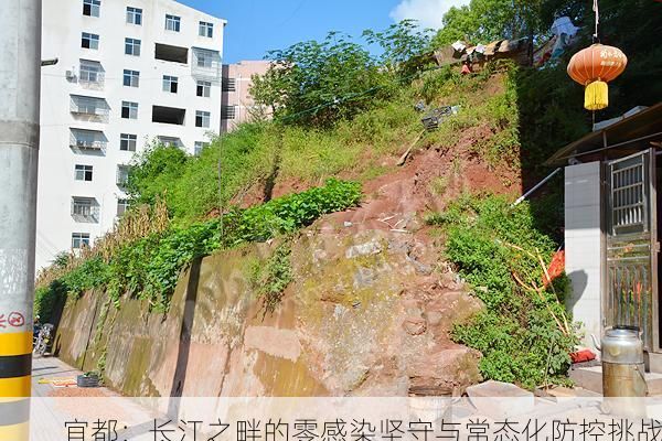 宜都：长江之畔的零感染坚守与常态化防控挑战