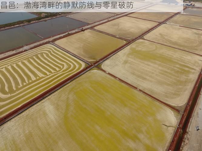 昌邑:渤海湾畔的静默防线与零星破防